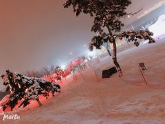 -长春世界雕塑园冰雪艺术天地
