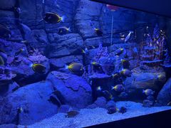 -成都浩海立方海洋公园