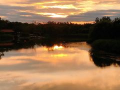 -大兴滨河森林公园