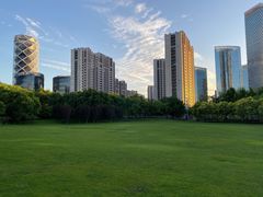 -大望京公园