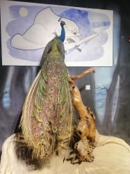 -酷嗒动物文化乐园(cutezoo西溪乐天城店)