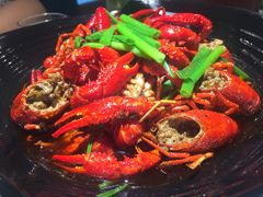 -食客堂麻婆豆腐专门店