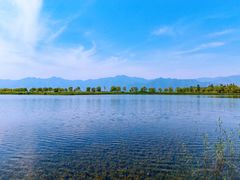 -野鸭湖国家湿地公园