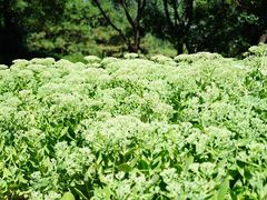 -滨河世纪广场公园