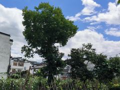 -西溪南古村落景区