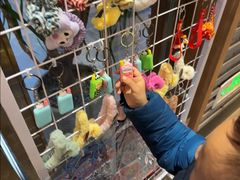 -渔傅·霞浦滩涂海鲜(建平店)