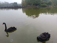 -浙江农林大学(东湖校区)