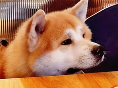 -the rug 飞毯 (朝阳公园店)