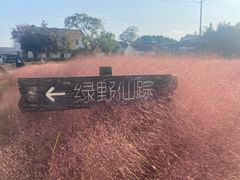 -霍比特人村