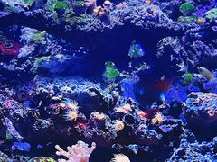 -海合安天津极地海洋公园