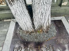 -鸣鹤古镇