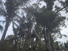 -白沙门生态公园
