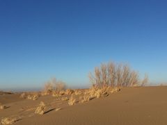 -亿利库布其七星湖沙漠生态旅游区