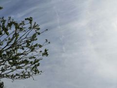 -天鹅湖体育公园