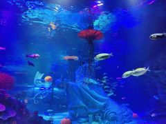 -沈阳海洋探索中心