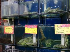 -蚝专家(北滘店)