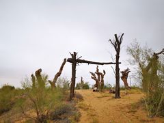 -亿利库布其七星湖沙漠生态旅游区
