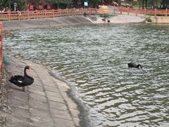 -牛鱼嘴原始生态风景区