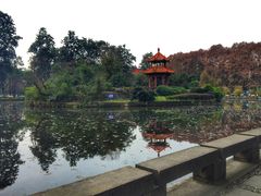 -四川大学(望江校区)