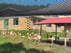 -哈尔滨北方森林动物园