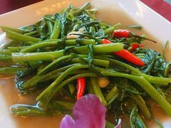 空心菜-Daddy Nimman Chiang Mai