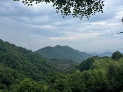 -西湖风景区十里琅珰-五云山