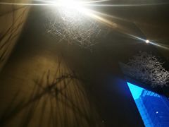 -隐溪茶馆(金虹桥店)