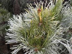 -蟠龙山长城景区