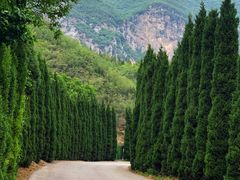 -青龙山生态文化旅游区(慈云寺)