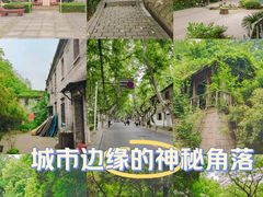 -伯先公园