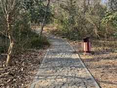 -大蜀山国家森林公园