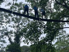 -芦仙山景区-飞越丛林探险乐园