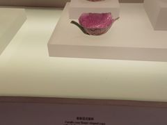 -辽宁省博物馆