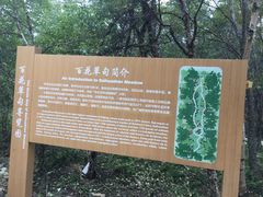 -白草畔自然风景区