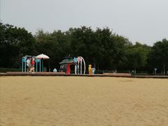 -大兴滨河森林公园