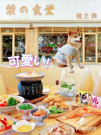 日式治愈系柴の食堂 承包我整个夏天的快乐