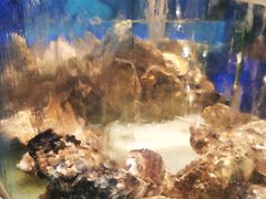 -珍宝轩海鲜火锅(碧湖大厦店)