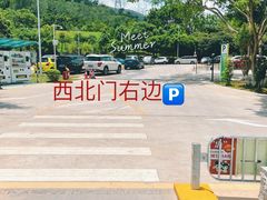 -马峦山郊野公园