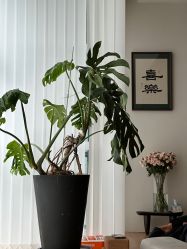 -阿南达·瑜伽普拉提·阿育吠陀疗愈中心