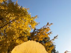 -苏州河梦清园环保主题公园