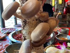 -谭鸭血老火锅(漳州路店)