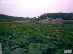 -南戴河国际娱乐中心