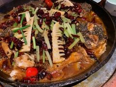 老板恋上鱼-老板恋上鱼(高新万达店)
