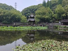 -忠山公园