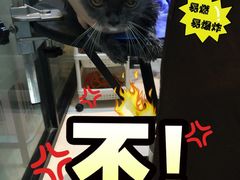 -Oh My Dog宠物沙龙(伊珊娜皮毛护理店)