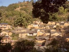 -杨家堂村