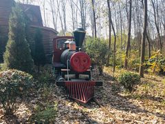 -合肥滨湖国家森林公园