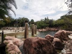 -亚龙湾热带天堂森林公园