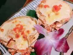 蟹宝-魔丼屋(日月光店)
