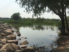 -绿堤公园